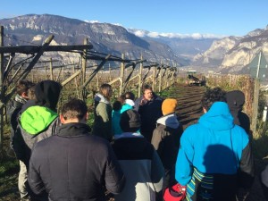 il-trentino-nel-piatto_archivio-strada-del-vino-e-dei-sapori-del-trentino-4