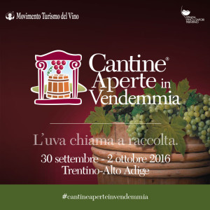 cantineaperte-instagram-photo-1080x1080