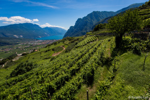 Agraria Riva del Garda - foto di E.Luti