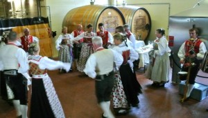 foto CANTINE APERTE