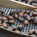 Castagne_Archivio Strada del Vino e dei Sapori del Trentino