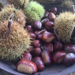 Castagne_Archivio Strada del Vino e dei Sapori del Trentino