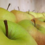 mele_WEB_Archivio Strada del Vino e dei Sapori del Trentino