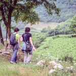 La primavera fiorisce alla Grotta dello Spumante_Archivio Pedrotti Spumante (4)