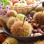 divin-ottobre_archivio-strada-del-vino-e-dei-sapori-del-trentino-1
