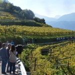 divin-ottobre_archivio-strada-del-vino-e-dei-sapori-del-trentino-8