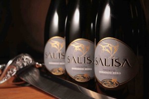 salisa-810x540