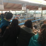 il-trentino-nel-piatto_archivio-strada-del-vino-e-dei-sapori-del-trentino-1