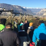 il-trentino-nel-piatto_archivio-strada-del-vino-e-dei-sapori-del-trentino-4
