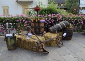 A LEVICO TERME SI CELEBRA IL PERIODO DELLA VENDEMMIA CON IL FESTIVAL DELL’UVA