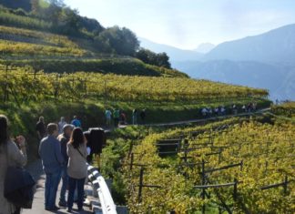 WEEKEND IN CANTINA | 31 AGOSTO – 1 SETTEMBRE