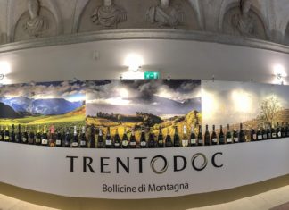 AL VIA TRENTODOC: BOLLICINE SULLA CITTÀ
