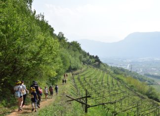 IL 25 APRILE RITORNA “DI MASO IN MASO DI VINO IN VINO”