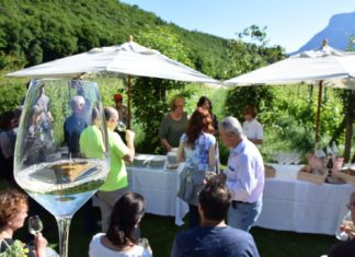 WEEKEND IN CANTINA | 29-30 GIUGNO 2019