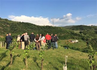 WEEKEND IN CANTINA | MAGGIO 2019