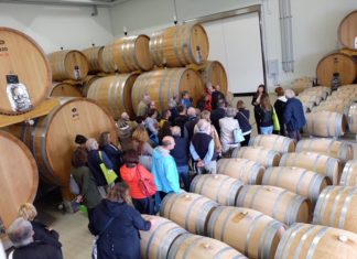 CANTINE APERTE IN TRENTINO-ALTO ADIGE “FA IL BOTTO”, CON OLTRE 8.000 PRESENZE