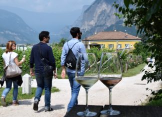 WEEKEND IN CANTINA | 25 – 26 MAGGIO 2019