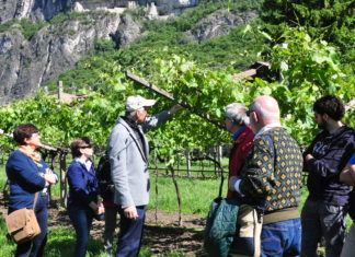 WEEKEND IN CANTINA | 11 – 12 MAGGIO 2019