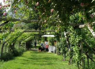 WEEKEND IN CANTINA | 1-2 GIUGNO 2019
