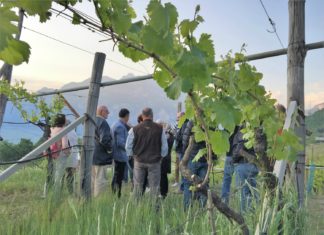 WEEKEND IN CANTINA | 18-19 MAGGIO 2019