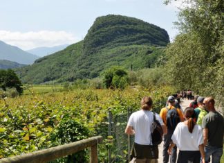 WEEKEND IN CANTINA | 15-16 GIUGNO 2019