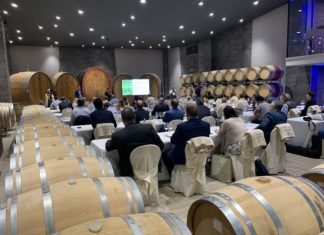 MEZZACORONA LANCIA “MUSIVUM”