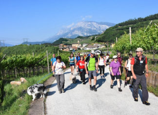 TRA NATURA E CIBO PER AMMIRARE LA VALLE DI CEMBRA