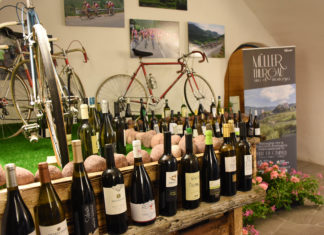 AL VIA LA MOSTRA MÜLLER THURGAU: VINO DI MONTAGNA