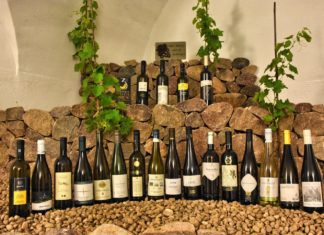 DAL 4 AL 7 LUGLIO LA XXXII RASSEGNA INTERNAZIONALE MÜLLER THURGAU: VINO DI MONTAGNA