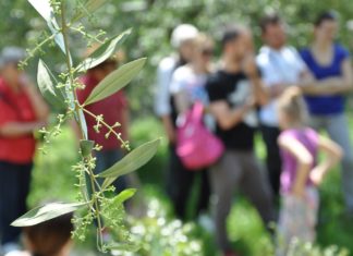 WEEKEND COL PRODUTTORE | 6-7 LUGLIO 2019