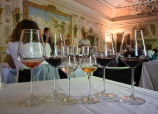 A TUTTO TEROLDEGO LUNGO LA STRADA DEL VINO E DEI SAPORI DEL TRENTINO