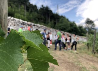 WEEKEND IN CANTINA | 10-11, 15 e 17-18 AGOSTO