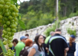 WEEKEND IN CANTINA | 3-4 AGOSTO 2019