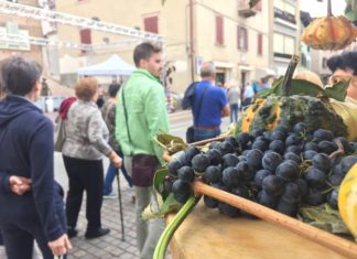 FESTIVAL DELL’UVA | DAL 6 ALL’8 SETTEMBRE 2019