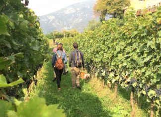 WEEKEND IN CANTINA | 21-22 SETTEMBRE 2019
