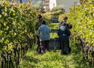 WEEKEND IN CANTINA | 28-29 SETTEMBRE 2019