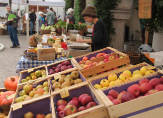 CHIAMATA A RACCOLTO