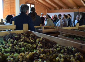 WEEKEND IN CANTINA | 9-10 NOVEMBRE