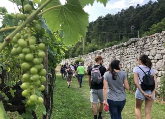 WEEKEND IN CANTINA | 22 – 23 AGOSTO 2020