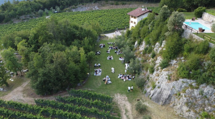 GEMME DI GUSTO CHIUDE TRA CANTINE APERTE ED ESPERIENZE ALL’ARIA APERTA: GLI APPUNTAMENTI DAL 29 AL 31 MAGGIO