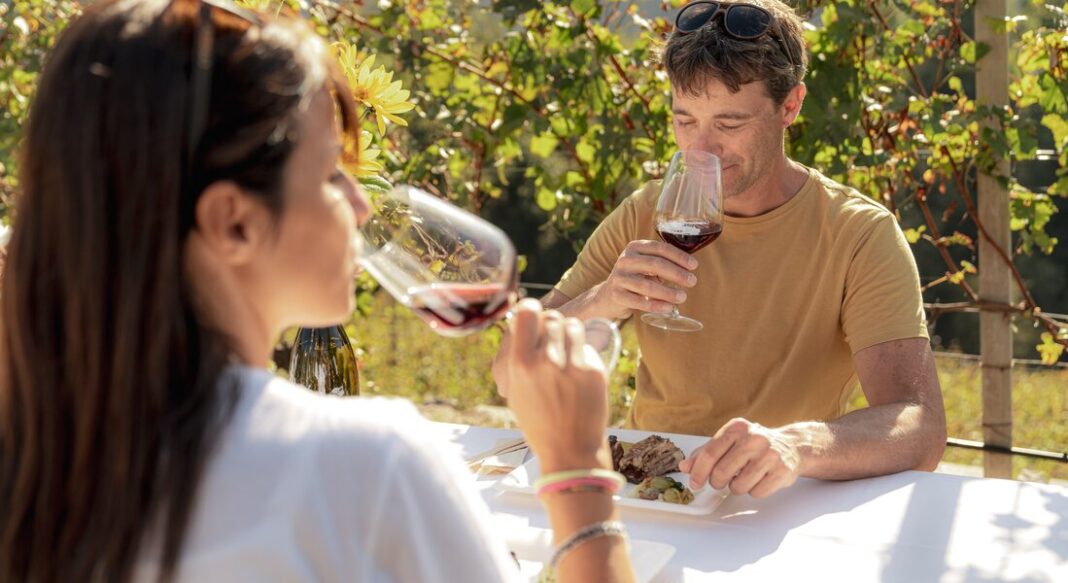 _Mattia Rizzi Cembra Wine Trekking Gourmet07102023s